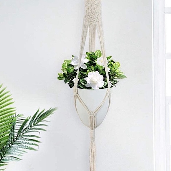 BÖHÖ Home Decor 3pc Macrame Plant Hanging Set
HandCrafted~Laney~@soul_embellish - Picture 2 of 15